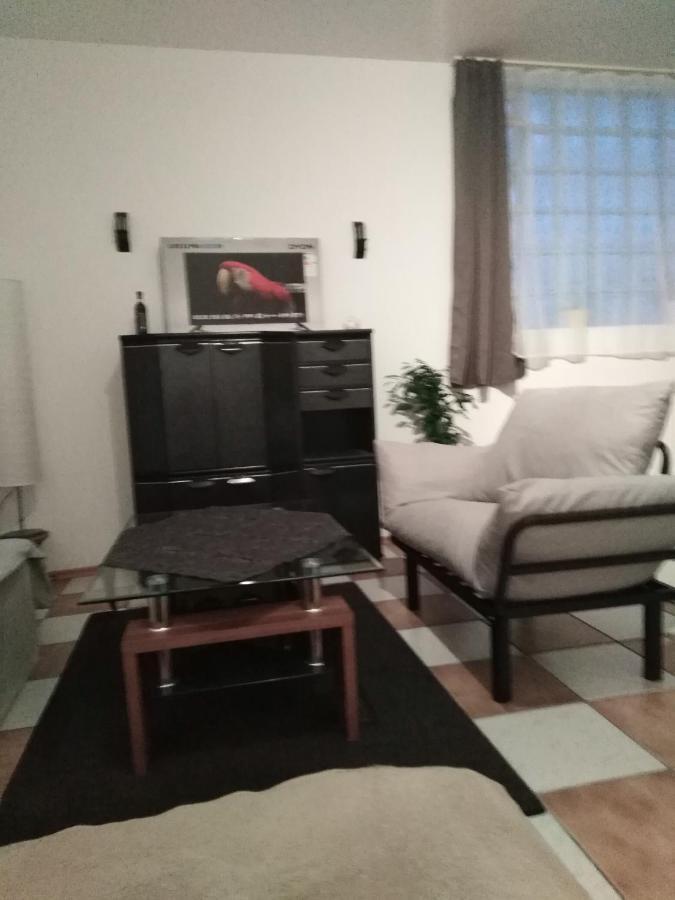 Studiowohnung, Neu Renoviert, Zentrale Lage Saarlouis Kültér fotó