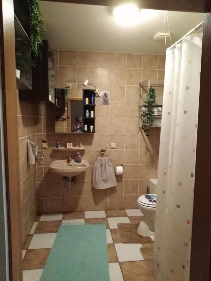 Studiowohnung, Neu Renoviert, Zentrale Lage Saarlouis Kültér fotó